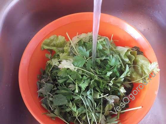 Промываем веточки зелени