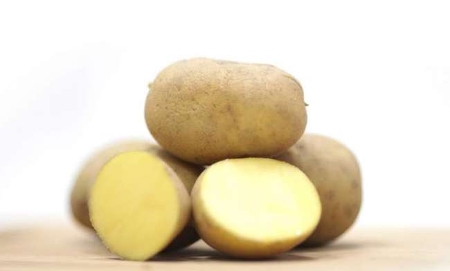 Сорт картофеля Каратоп