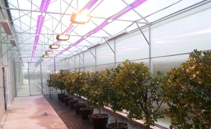 lampy-dlya-teplic-01