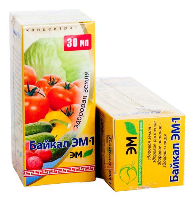 Концентра Байкал ЭМ-1 применение для лука